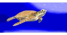 Drawing of Sea turtle by Pinky