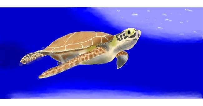 Drawing of Sea turtle by Pinky