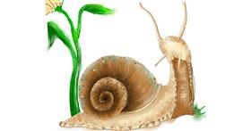 Drawing of Snail by Audrey