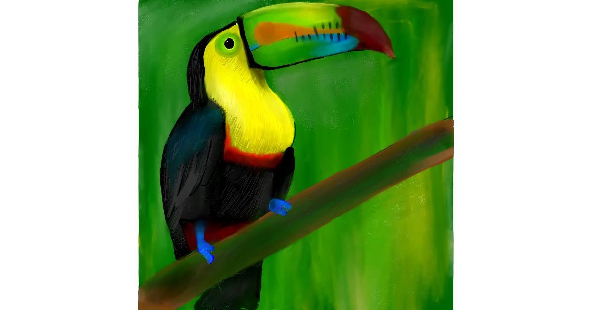 Drawing of Toucan by Lou