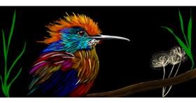 Drawing of Bird by Chaching