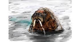 Drawing of Walrus by Mia