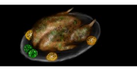 Drawing of Turkey by Shiney🪶