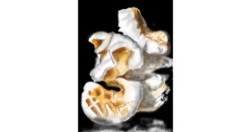 Drawing of Popcorn by ⋆su⋆vinci彡