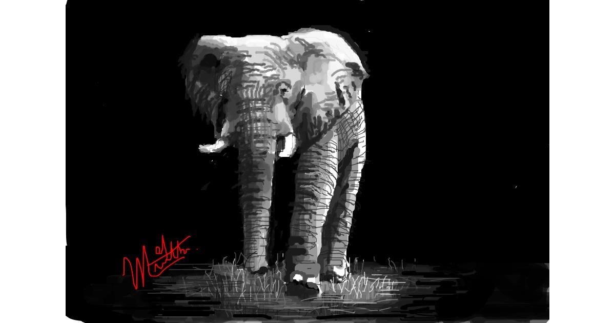 Drawing of Elephant by MooMel