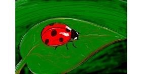 Drawing of Ladybug by Tami