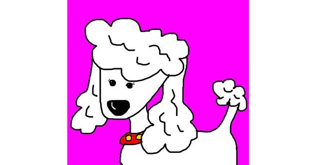 Drawing of Poodle by AdiCat