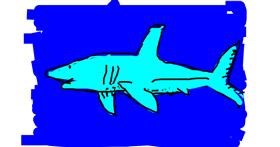 Drawing of Shark by m