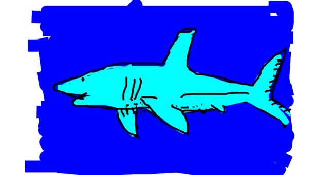 Drawing of Shark by m