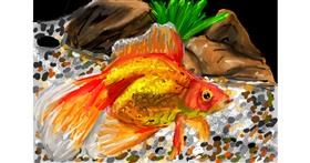 Drawing of Goldfish by Mia