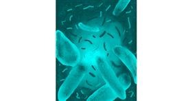 Drawing of Bacteria by Lydia 