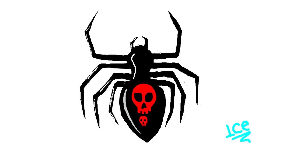 stick spider drawing