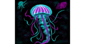 Drawing of Jellyfish by Ana