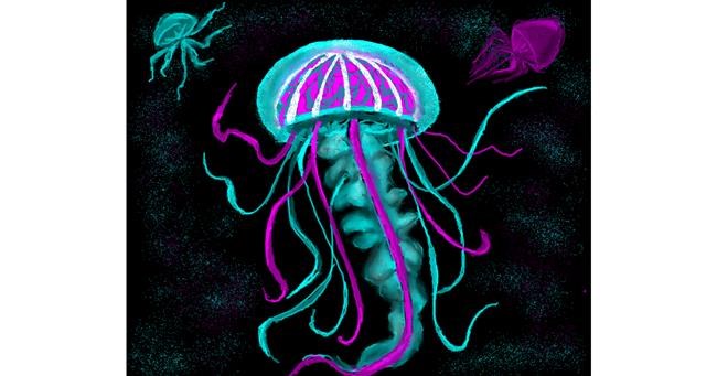 Drawing of Jellyfish by Ana