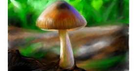 Gljiva - autor: Mia