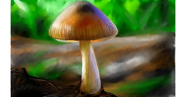Drawing of Mushroom by Mia