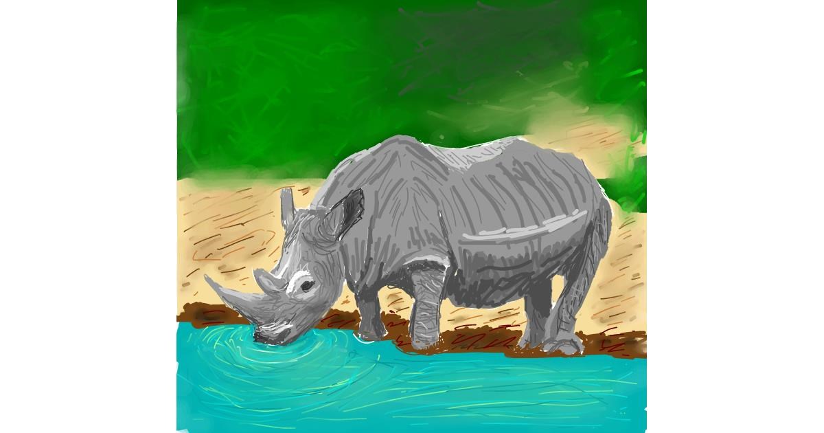 Drawing of Rhino by Coyote