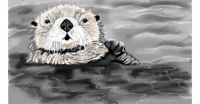 Drawing of Otter by SAM AKA MARGARET 🙄