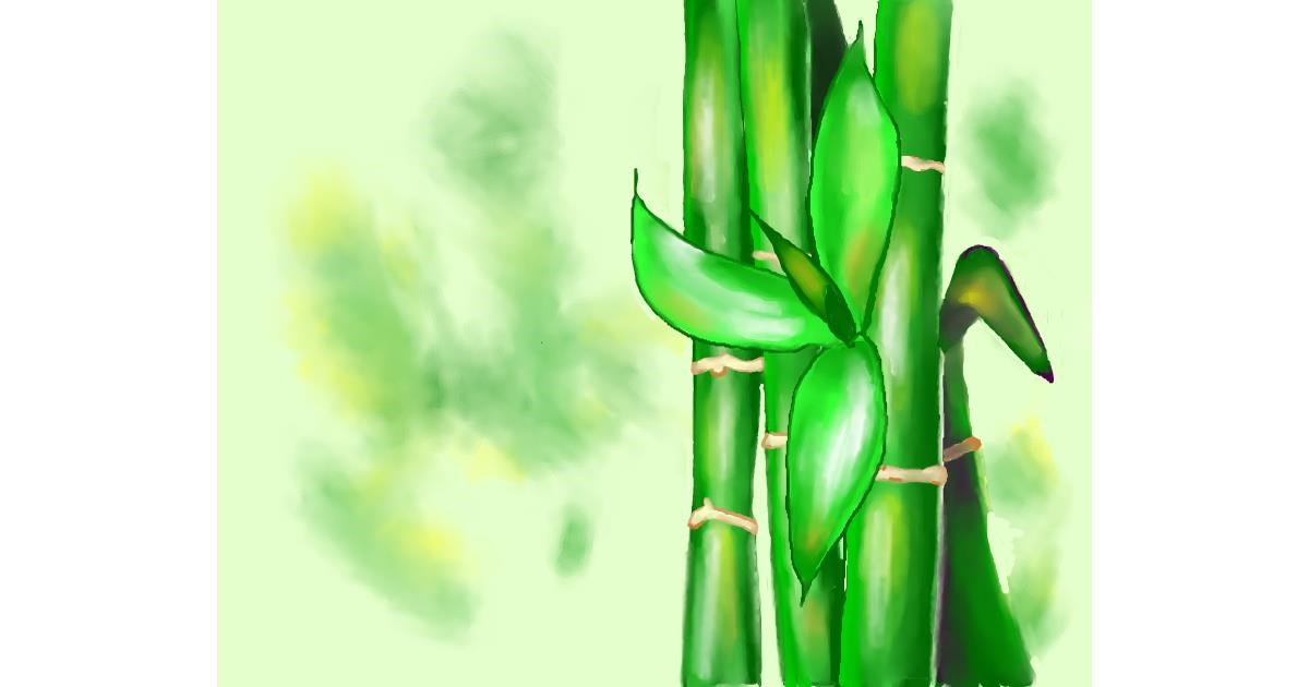 Drawing of Bamboo by Cec