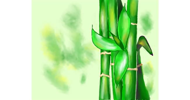 Drawing of Bamboo by Cec