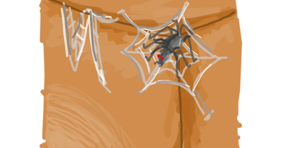 Drawing of Spider web by Pine