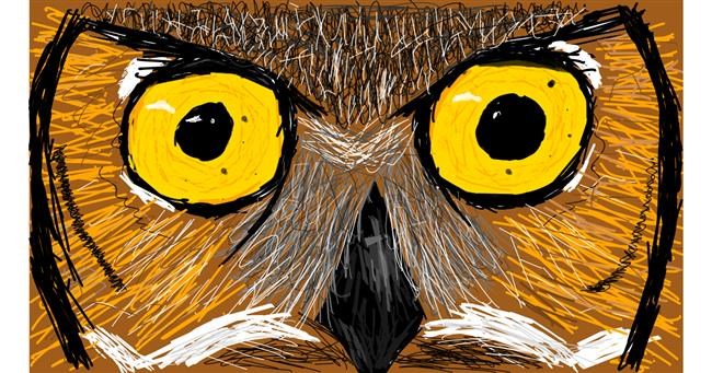 Drawing of Owl by Sam
