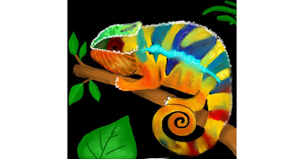 Drawing of Chameleon by Bishakha