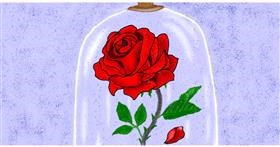 Rose-Zeichnung von InessA