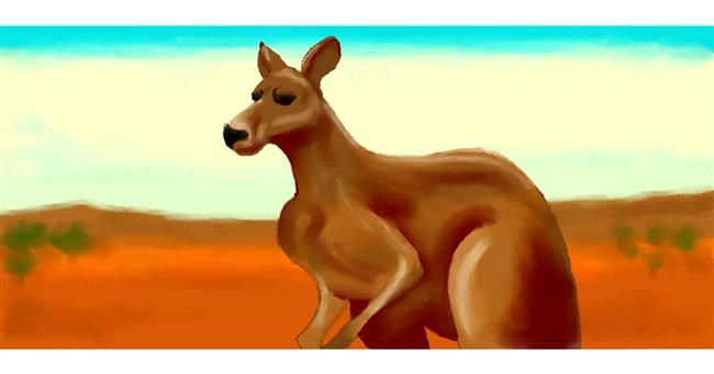 Drawing of Kangaroo by Jenny
