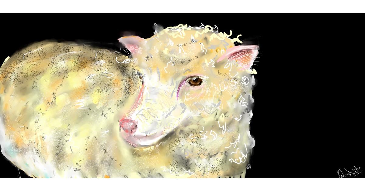 Drawing of Sheep by Una persona