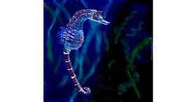 Drawing of Seahorse by teidolo