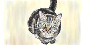 Drawing of Cat by Sam