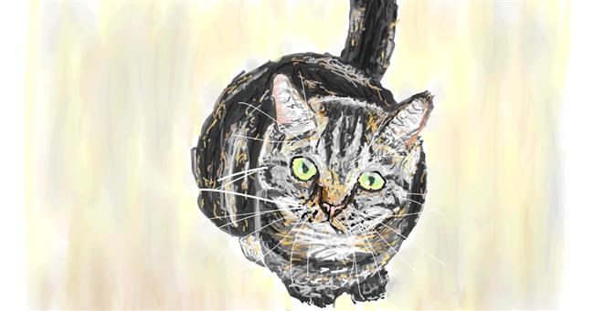 Katze-Zeichnung von Sam