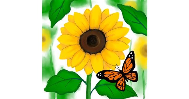 Drawing of Sunflower by Bishakha