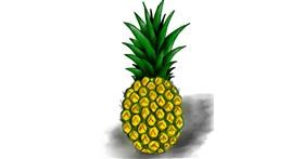 Drawing of Pineapple by Bishu
