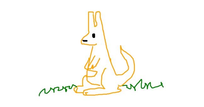 Drawing of Kangaroo by alle
