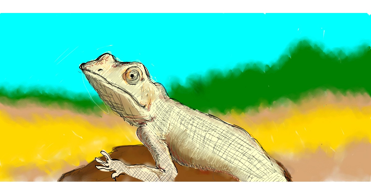 Full Size Drawing