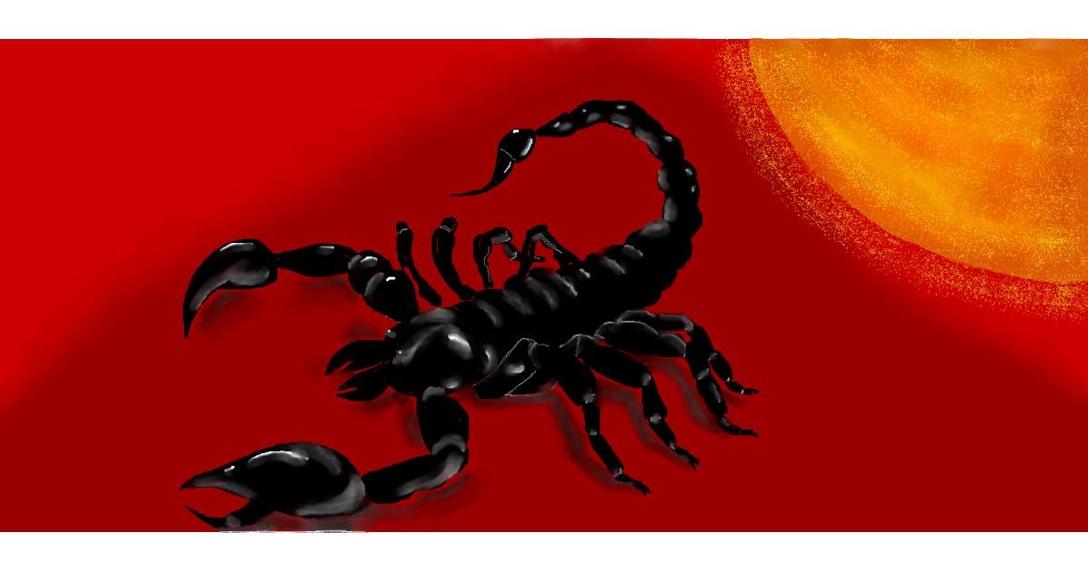 Drawing of Scorpion by Debidolittle