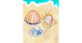Drawing of Seashell by GreyhoundMama