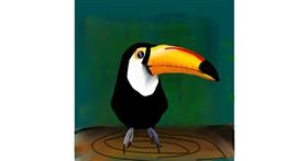 Drawing of Toucan by Alex Berrhto