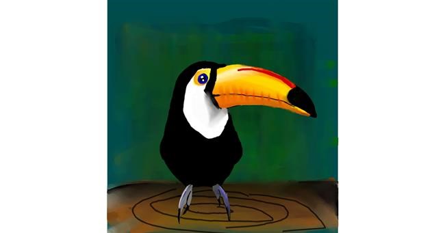 Drawing of Toucan by Alex Berrhto