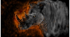 Drawing of Rhino by Eclat de Lune