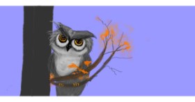 Drawing of Owl by robee