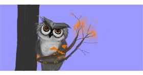 Drawing of Owl by robee