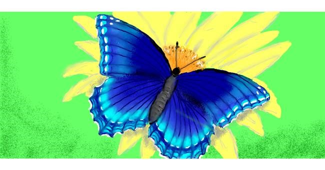 Schmetterling-Zeichnung von SAM AKA MARGARET 🙄