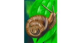 Drawing of Snail by Vinci