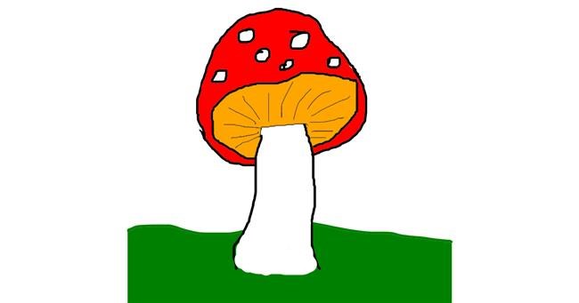 Drawing of Mushroom by Anonymousssd  sdf sdf sdf sdf