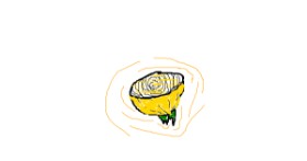 Drawing of Onion by MPK