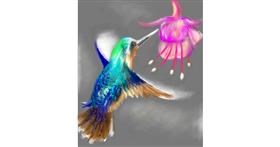 Drawing of Hummingbird by Vinci