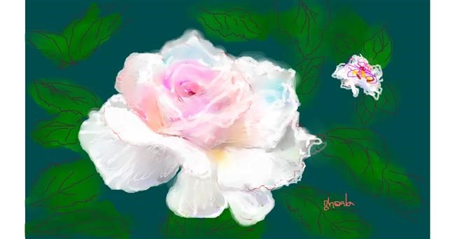 Drawing of Rose by Kai 🐾